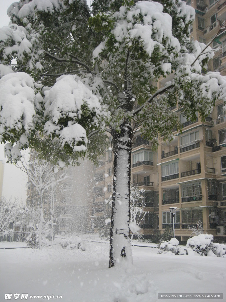 雪景