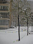 城市雪景