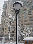 城市雪景