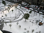 小区雪景