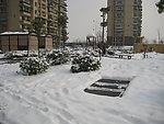 城市雪景