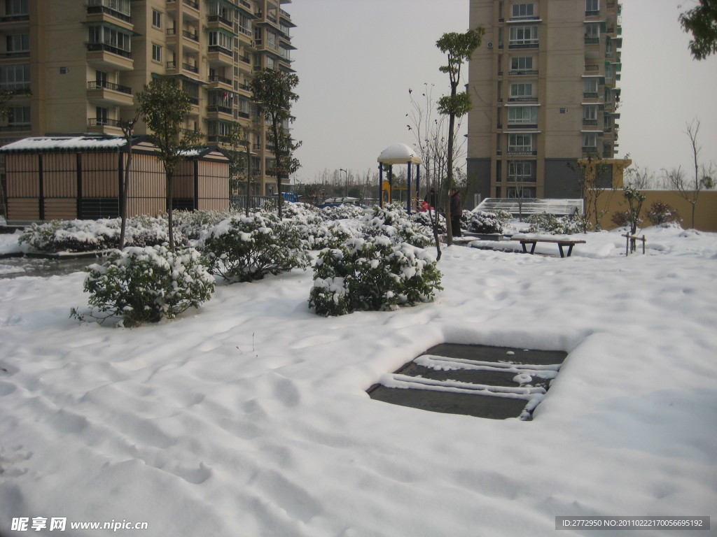 城市雪景