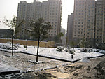城市雪景