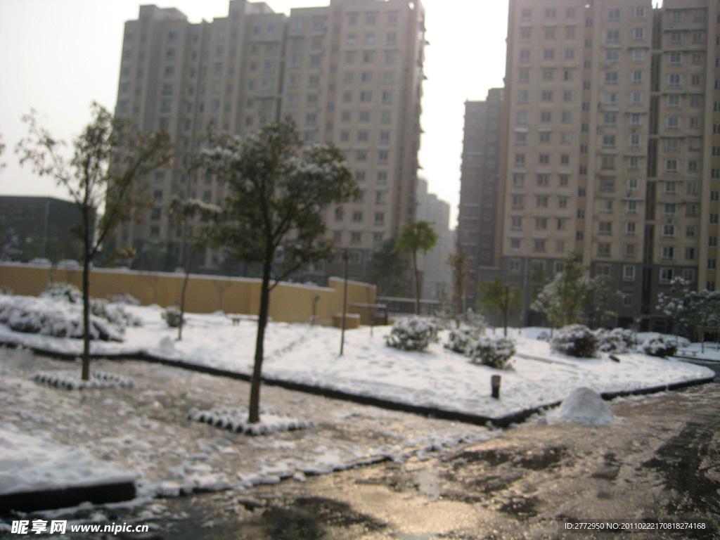 城市雪景