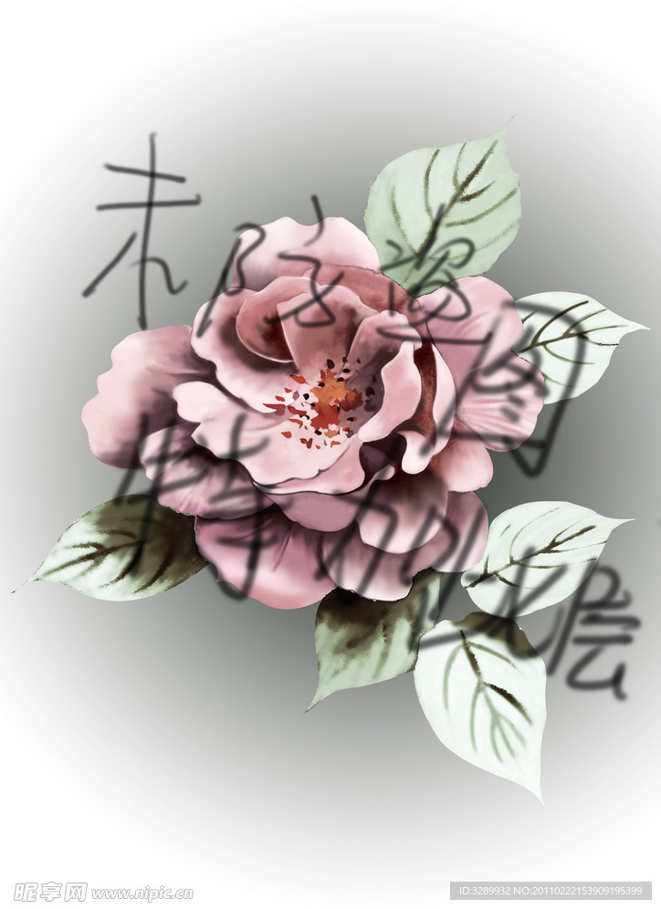 玫瑰花