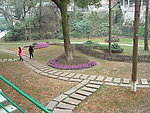 泸州公园一角