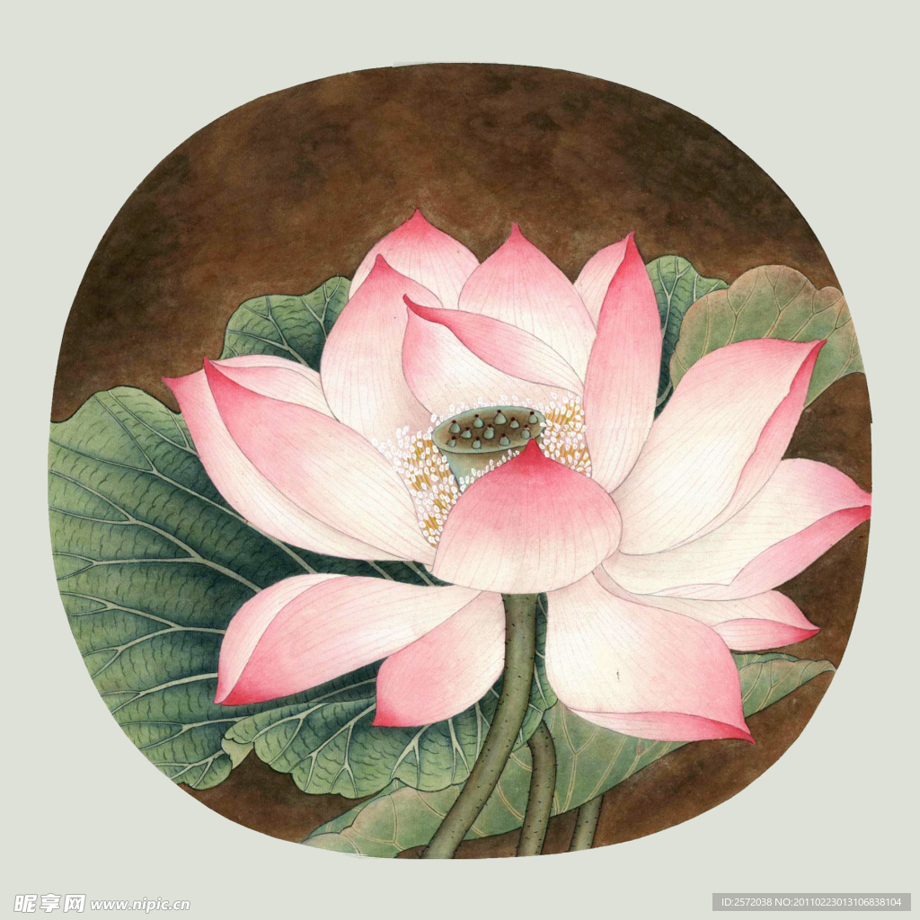 红莲花