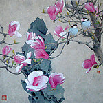 玉兰小鸟