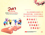 2011财保内页