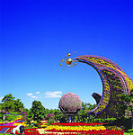公园风景