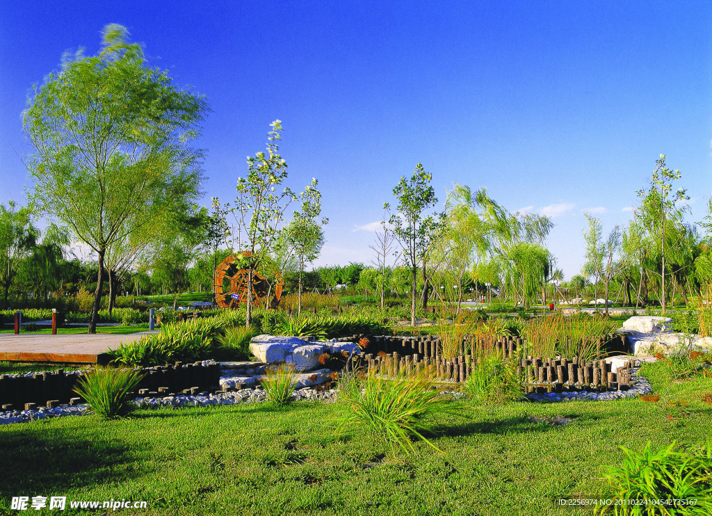 公园风景