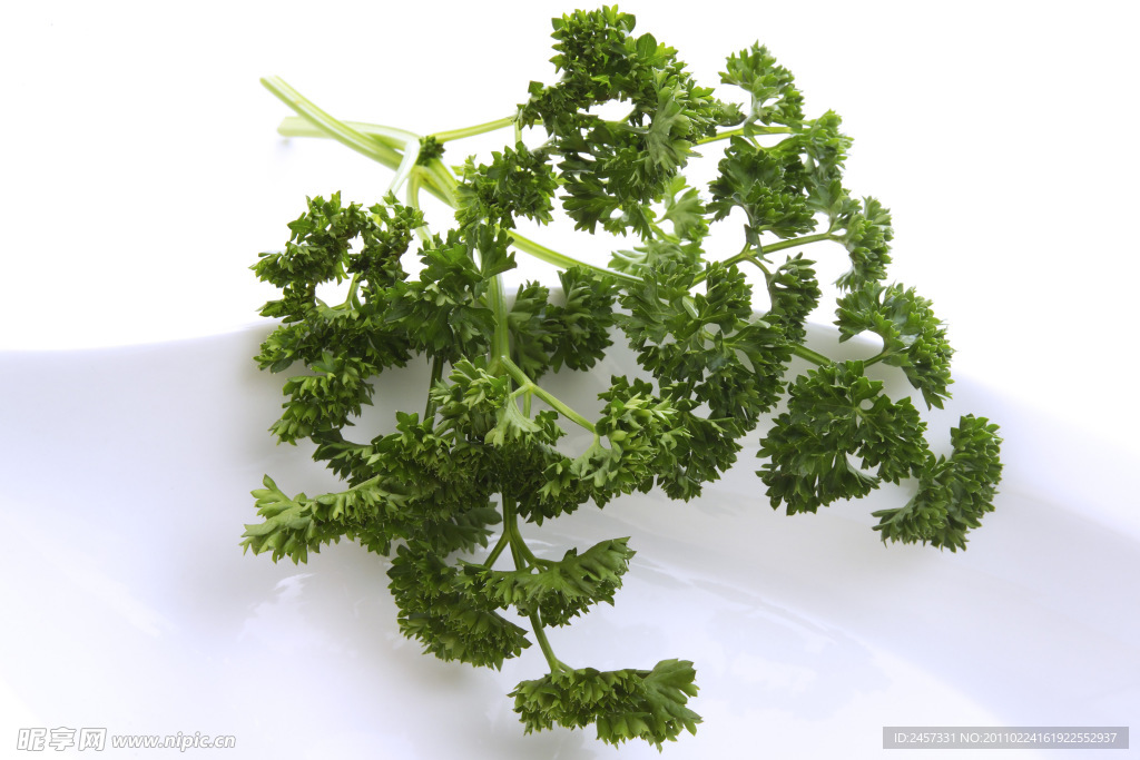 绿色草药