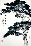 松树图