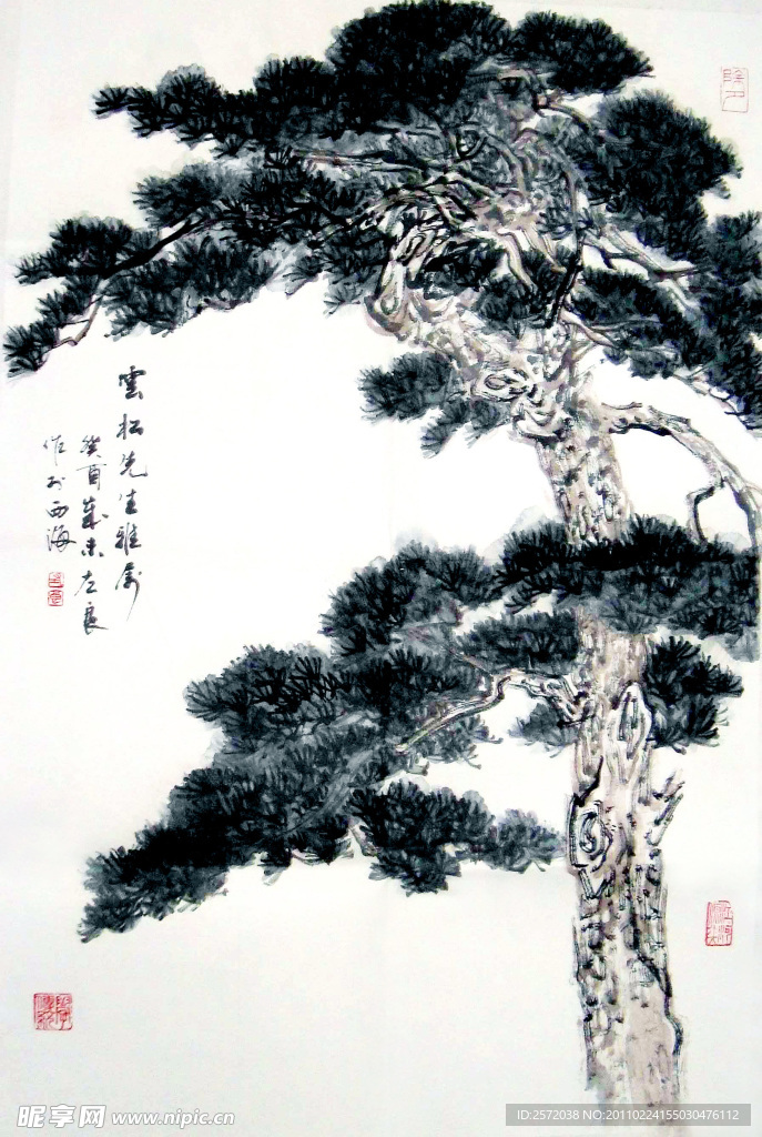 松树图