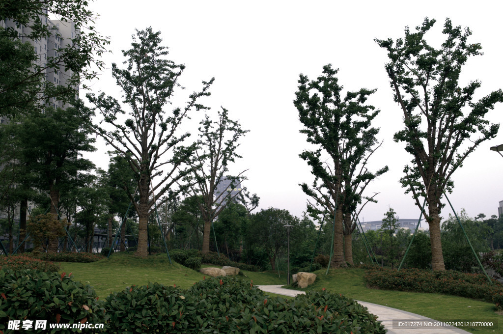2009公园绿化金奖拱墅区后横港公园