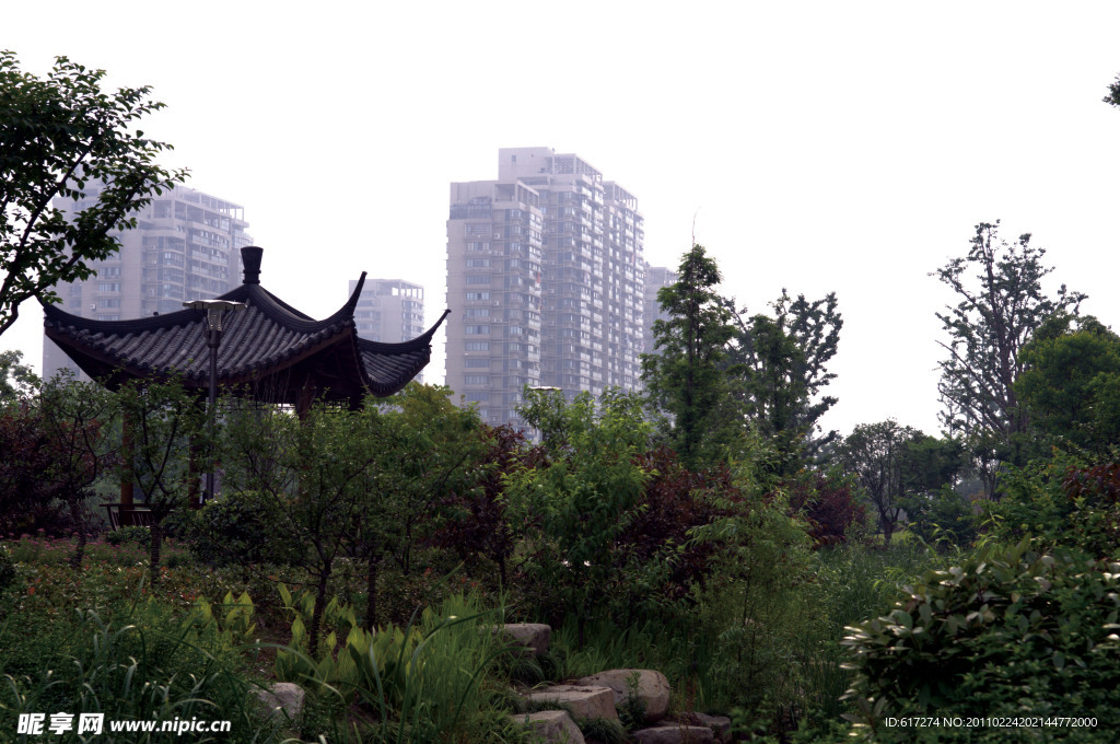 2009公园绿化金奖拱墅区后横港公园