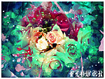 花之恋