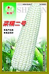 玉米