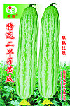 黄瓜