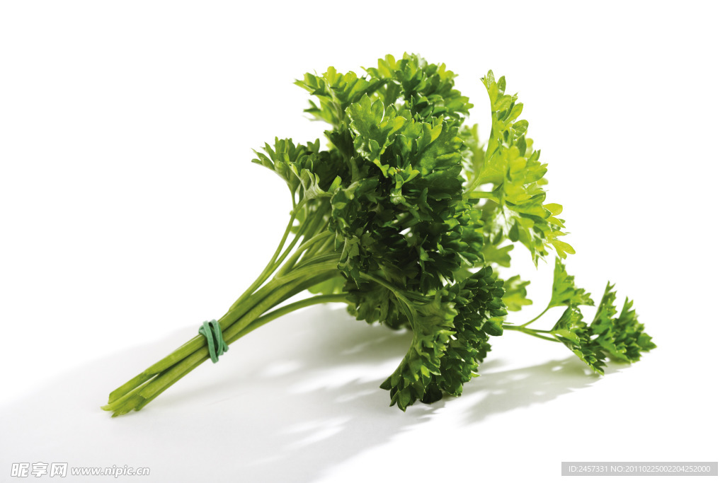 绿色草药