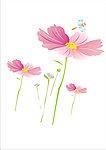 花朵跟蜻蜓