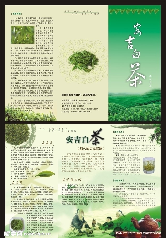 安吉白茶DM宣传单