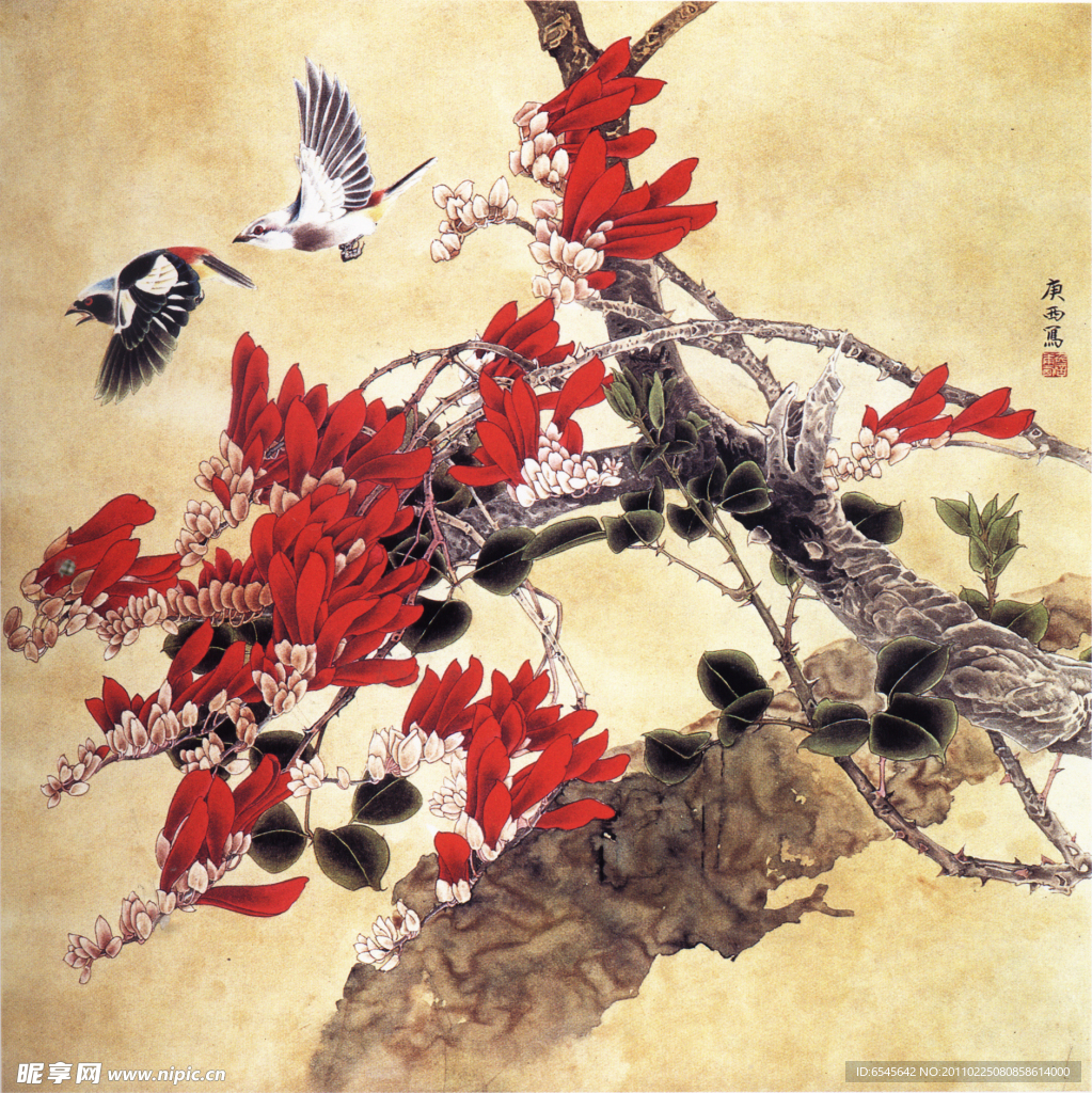玉兰花