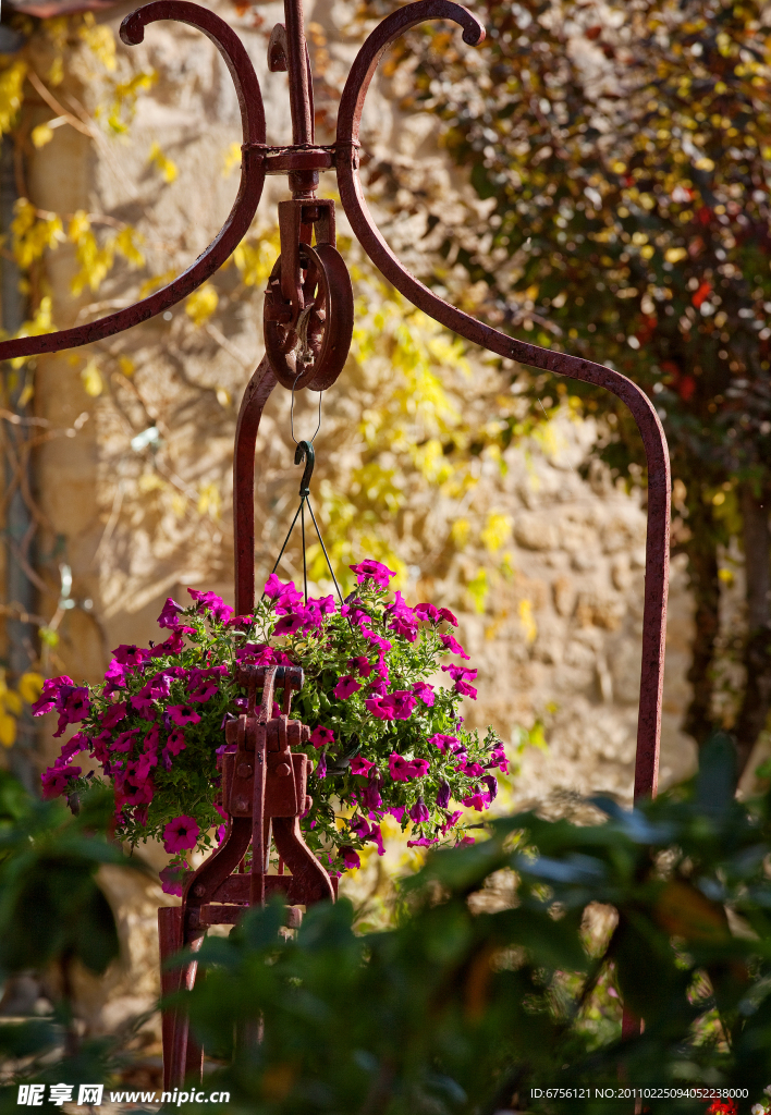 鲜花 铁艺