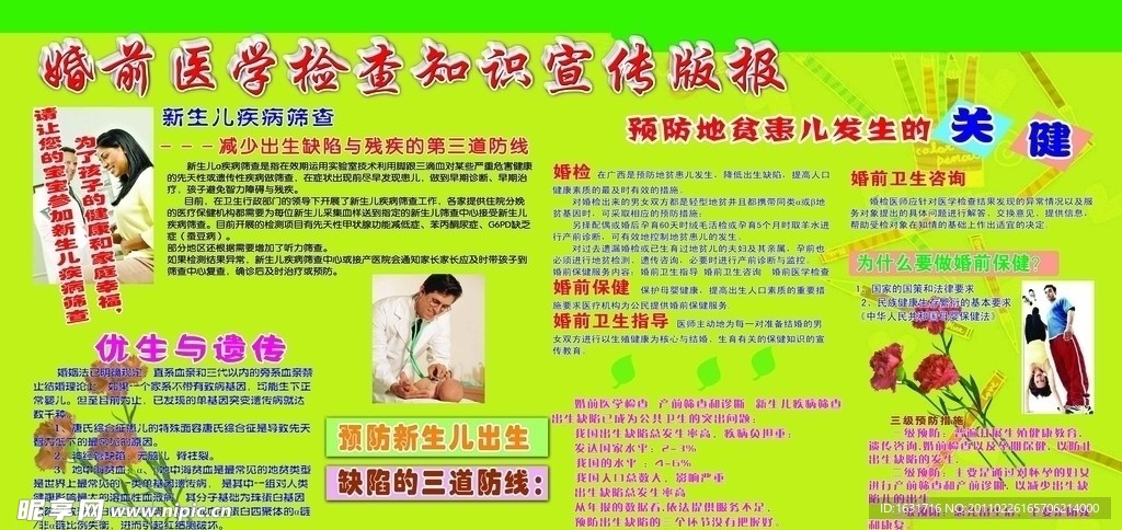 婚前检查医学知识板报