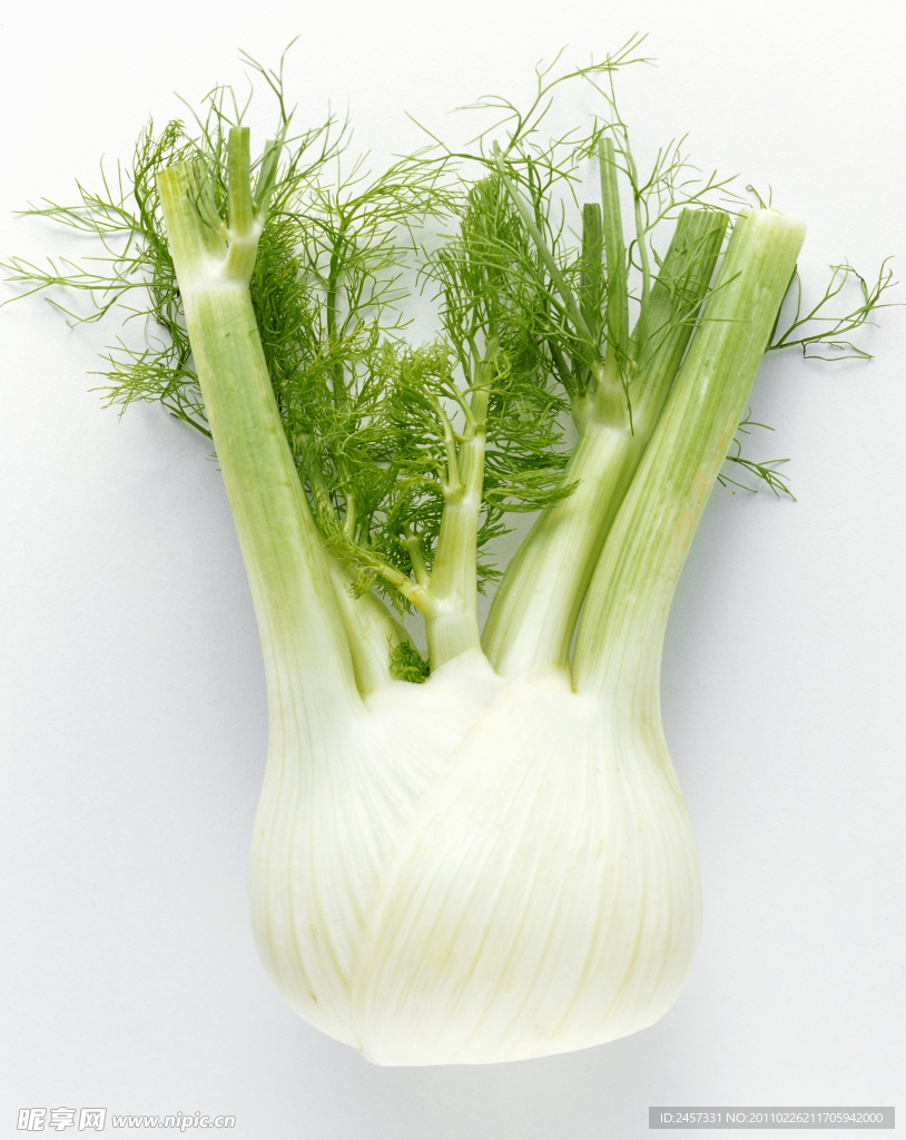 芹菜