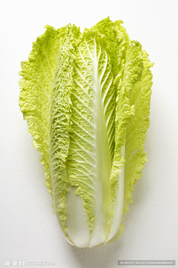 白菜