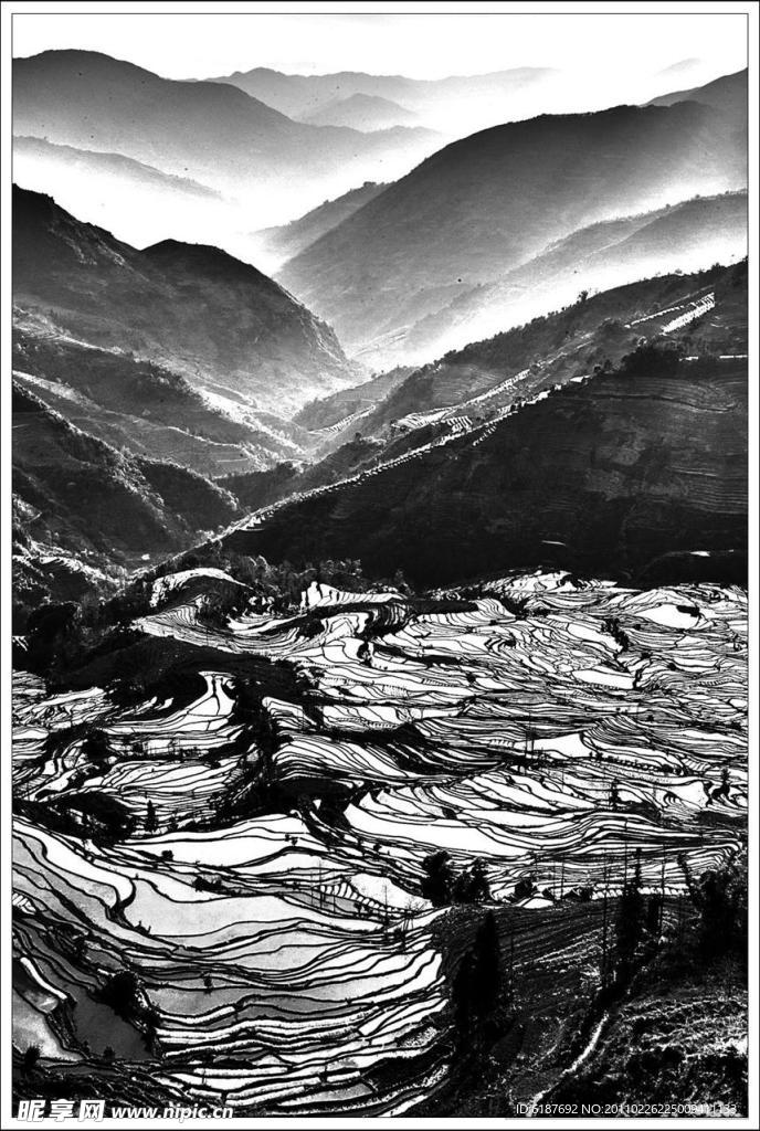 元阳梯田