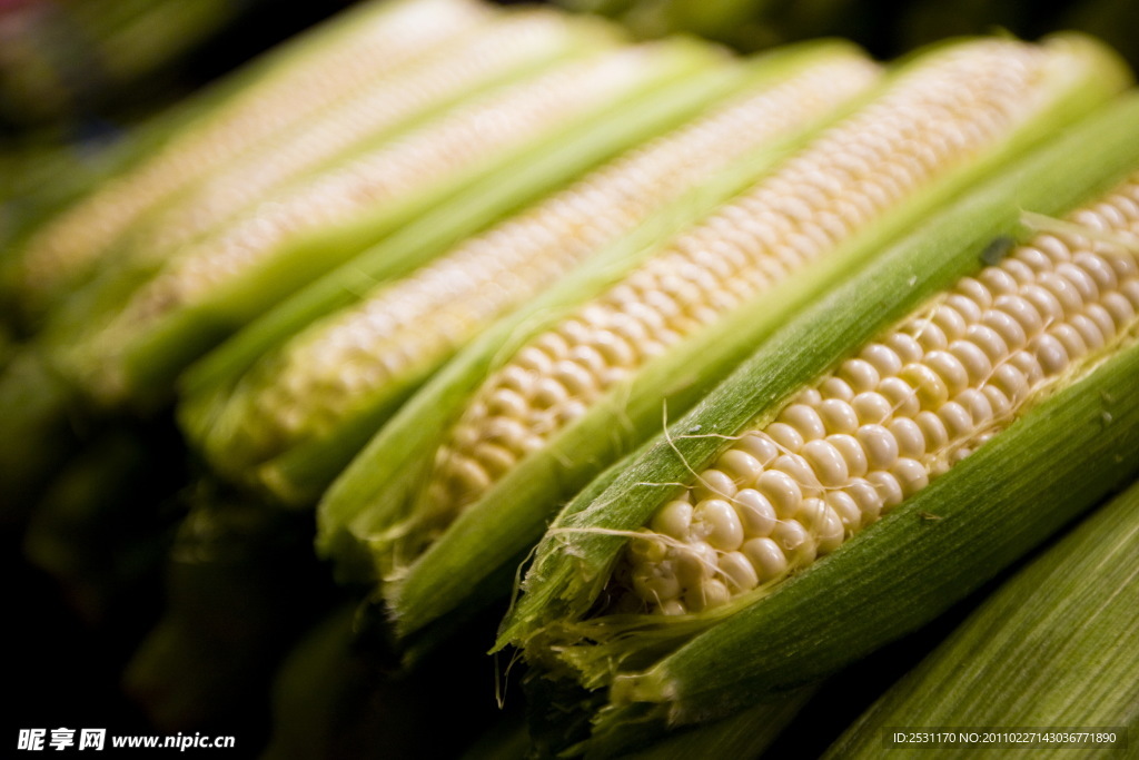 玉米