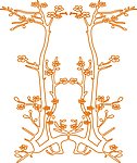 雕刻花 白描 花边底纹