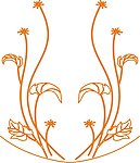雕刻花 白描 花边底纹