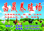 养殖场