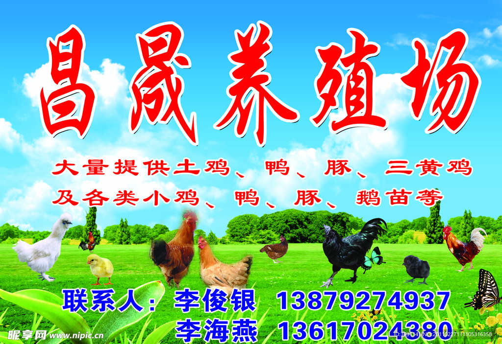 养殖场