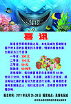 大鲨鱼 喜讯