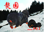 獒园