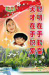 校园标语
