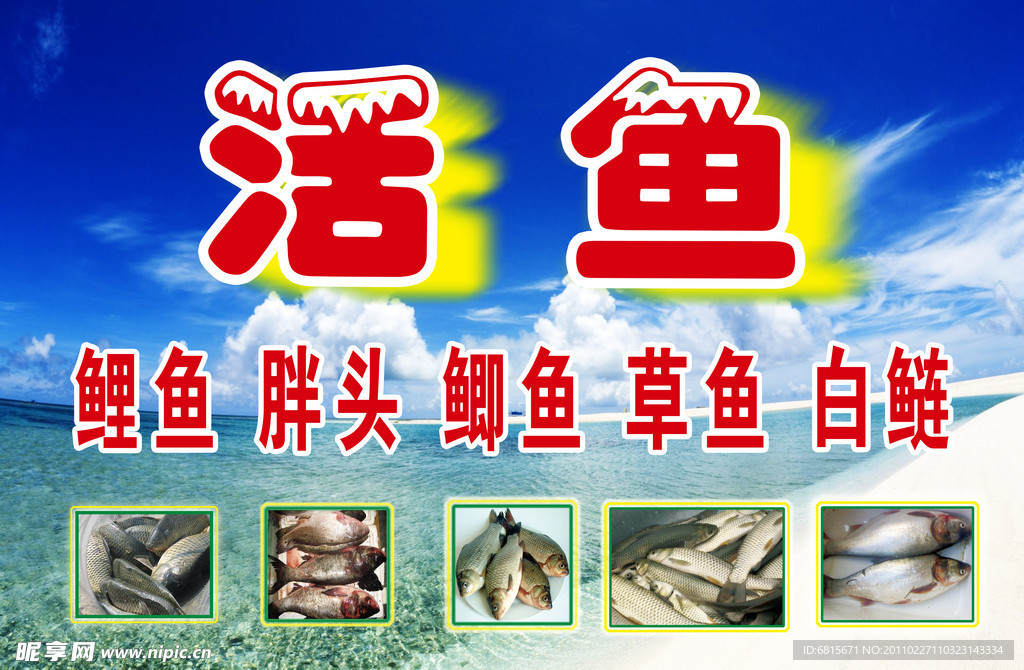 鱼类经营