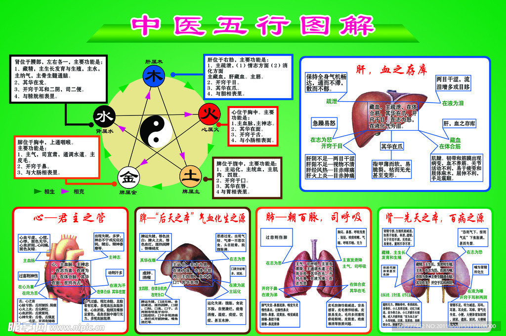 中医阴阳五行图解