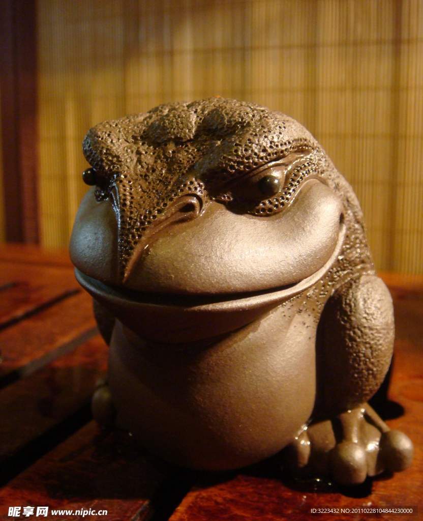 癞蛤蟆与天鹅