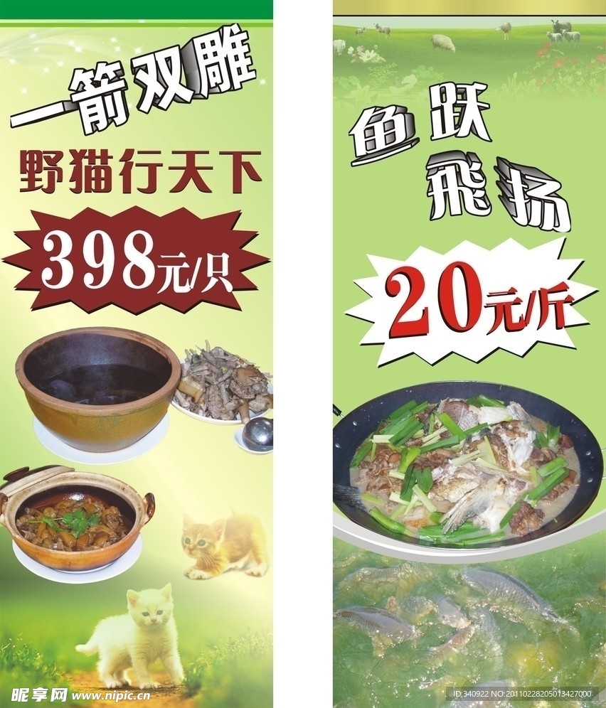 健康美食海报