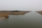 湿地