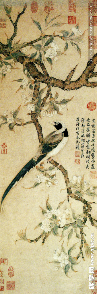 梨花山鹊图