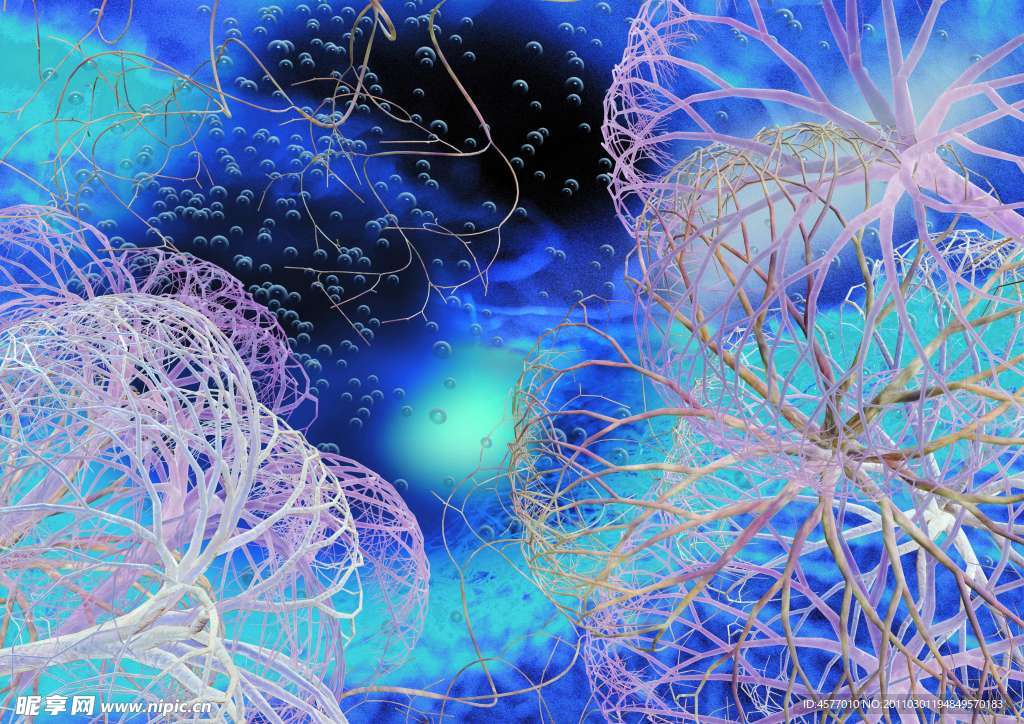科学研究