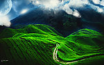茶山风景
