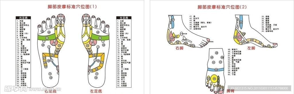 足部穴位图