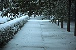 雪路